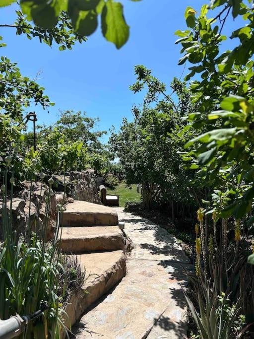 Lilly'S Finca - Romantischter Rueckzugsort - Pool Vilaflor Extérieur photo