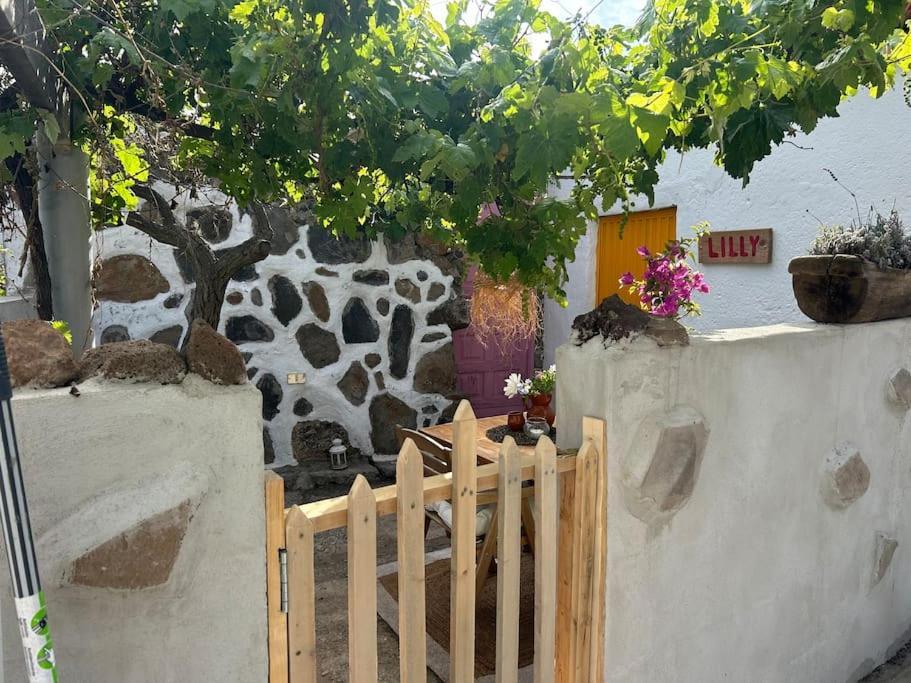 Lilly'S Finca - Romantischter Rueckzugsort - Pool Vilaflor Extérieur photo