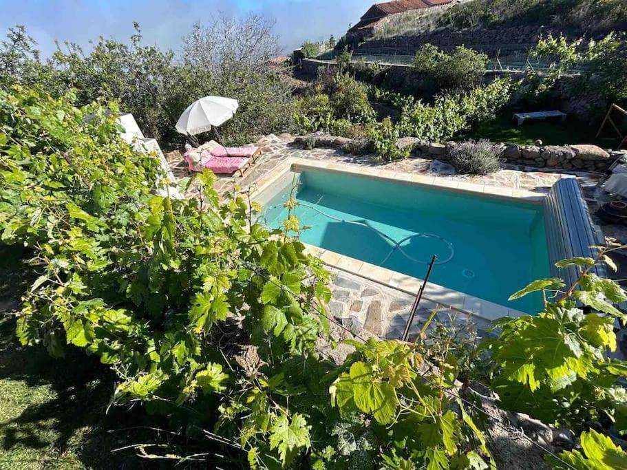 Lilly'S Finca - Romantischter Rueckzugsort - Pool Vilaflor Extérieur photo