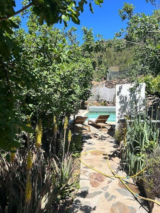 Lilly'S Finca - Romantischter Rueckzugsort - Pool Vilaflor Extérieur photo